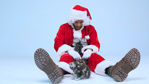 Santa Claus Plays with Kittens