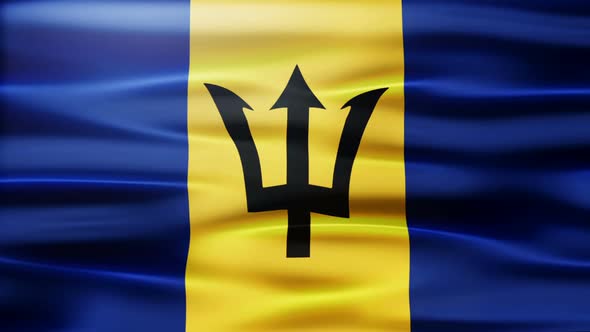 Barbados Flag Waving