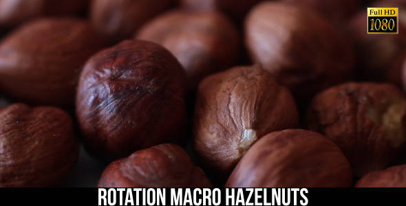 Rotation Hazelnuts 3