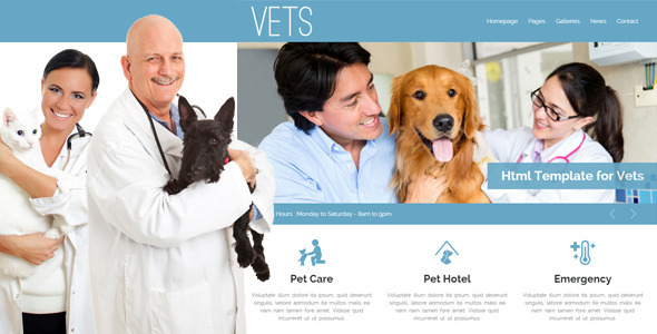 VETS – Veterinary Medical Health Clinic Template