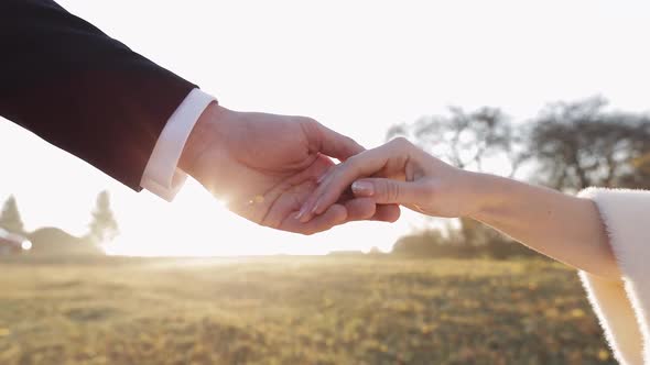 Newlyweds. Hands of Groom with Bride in the Morning Sunbeams. Wedding Couple