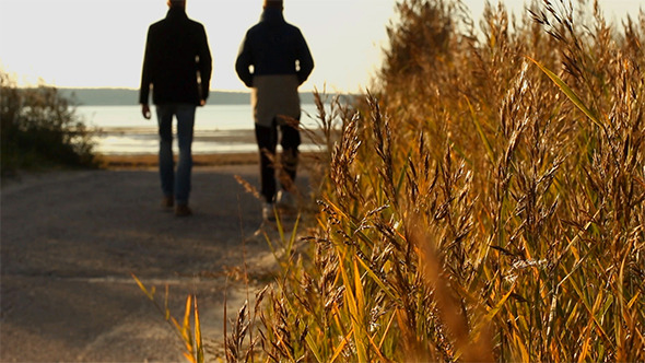Walking On The Autumn Beach
