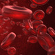 Blood Cells - VideoHive Item for Sale