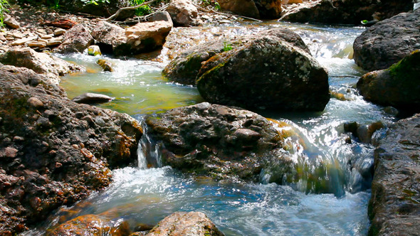 Waterfall In Summer Woods alt