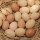 Ecological Eggs - VideoHive Item for Sale