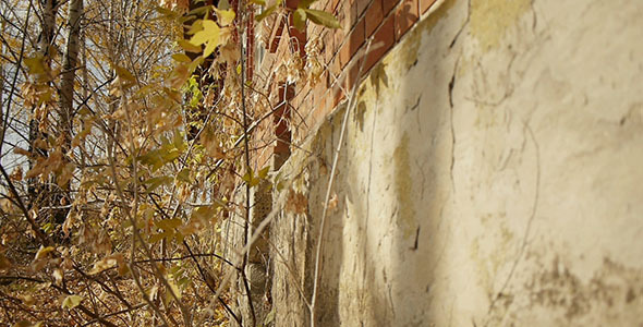 Abandoned Red Brick Building 8 alt