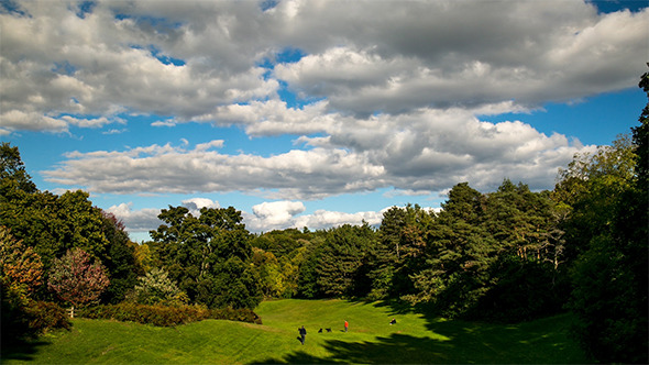 Fall Timelapse