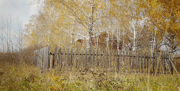 Village Wooden Fence 2