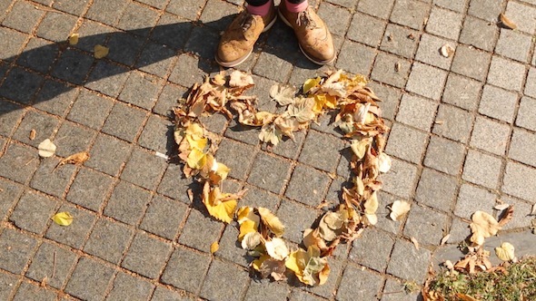 A Heart From Autumn Leaves Blown By The Wind