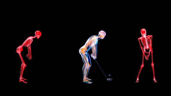 2 Golf Xray Players in 4K