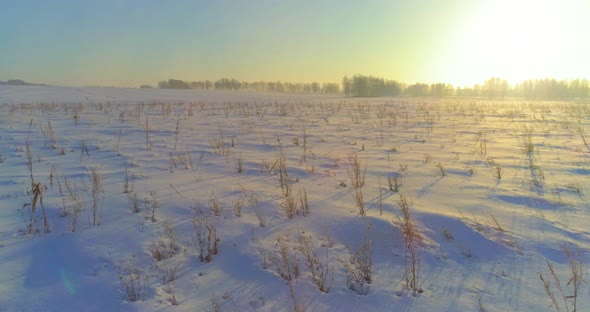 Aerial Drone View of Cold Winter Landscape with Arctic Field, Trees Covered with Frost Snow and