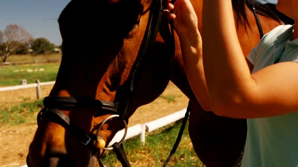 Woman adjusting bridle on horse 4k