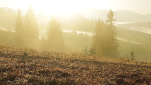 Yellow Fog in the Wooded Mountains alt