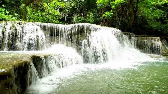 Rainforest Waterfall