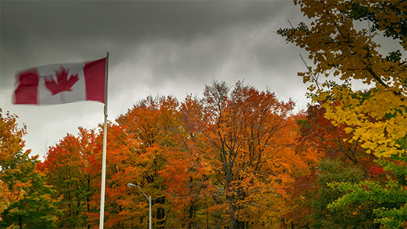 Fall with Canadian Flag