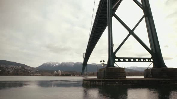Seagull flying under Lions Gate suspension Bridge in Stanley Park, Vancouver, Cloudy, Slowmotion