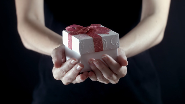 Gift Box In Hand