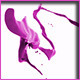 HD Splash 07 - 3DOcean Item for Sale