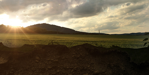 Field Reveal Shot at Dusk