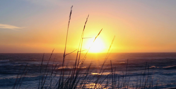 Windy Beach