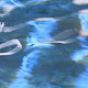 Fountain Water Waves 4 - VideoHive Item for Sale