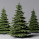 Fir Tree - 3DOcean Item for Sale
