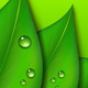 Green Leaf Backgrounds - GraphicRiver Item for Sale