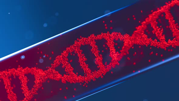 Isolated glass test tube with blood and rotating DNA double helix loop animation