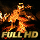 Bonfire - VideoHive Item for Sale
