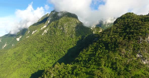 Aerial View of Mountain and Forest