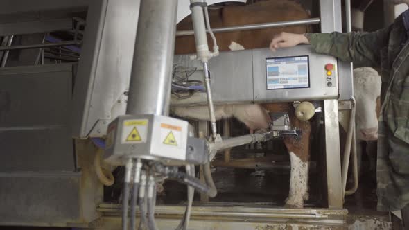 Automatic milking machine.