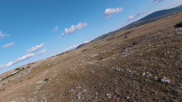 Aerial FPV Drone Shot of a Chasing and Flying Close Around Herd of Wild Horses Running on a Field at