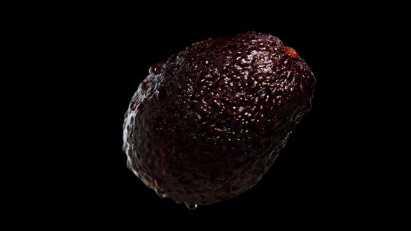 Wet and Ripe Avocado Rotates on Black Background