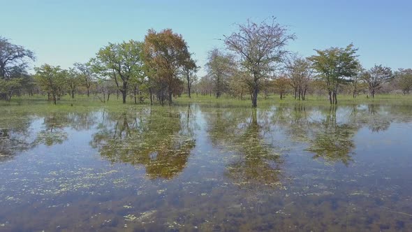 Aerial drone view of a swamp lake in Africa