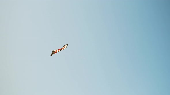 Kite Flying in the Sky