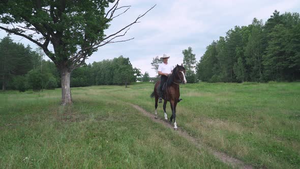 Cowboy in a Hat Rides a Horse in a Clearing Near the Forest, Walk on Horseback, Man Moves on a Horse