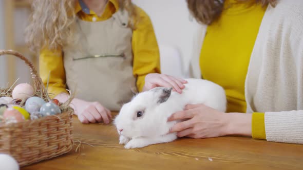 Petting Adorable Bunny at Easter