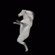57 White Horse Dancing HD - VideoHive Item for Sale