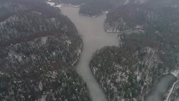 Aerial shot of frozen lake surrounded by forest at winter