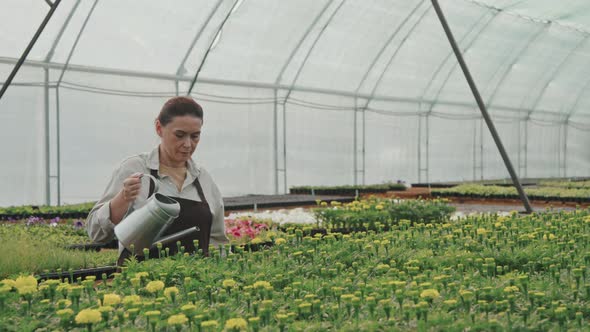 Female Gardener Watering Flowers