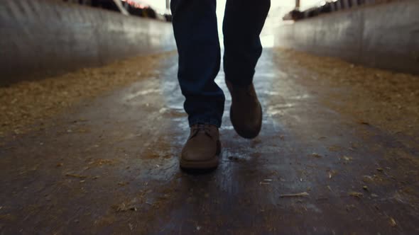 Farmer Boots Walking Shed Closeup