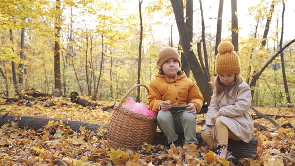 Little Kids Use Smartphone in Forest
