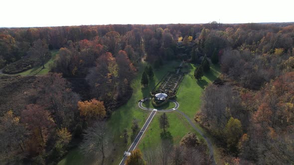 Drone Footage Over Trees