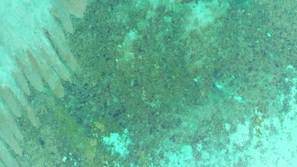 Aerial: top down over coral reef uncontaminated coastline tropical caribbean sea