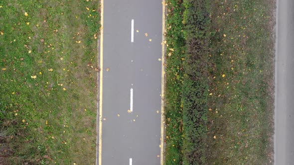 Flying over the bike path in the autumn park.