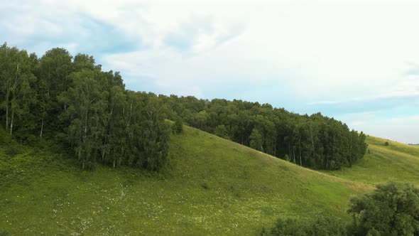 Green hill from above