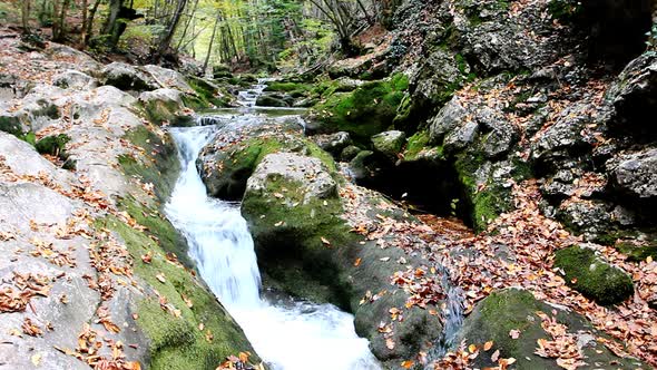 Little Waterfalls in a Peaceful Wood