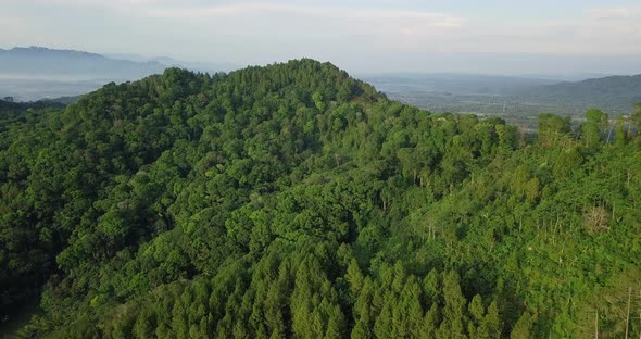 4K aerial footage flying over a beautiful green forest in a rural landscape, Indonesia,Asia