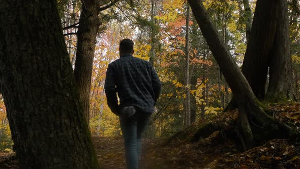 Man hikes up a dirt path in Beautiful yellow trees, Slow Motion Handheld Wide. Caucasian man in blue