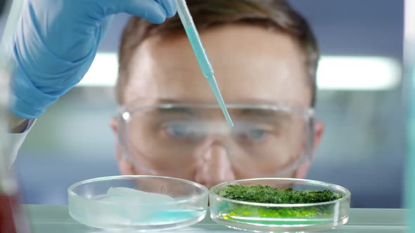 Scientific Experiment Using Petri Dishes alt